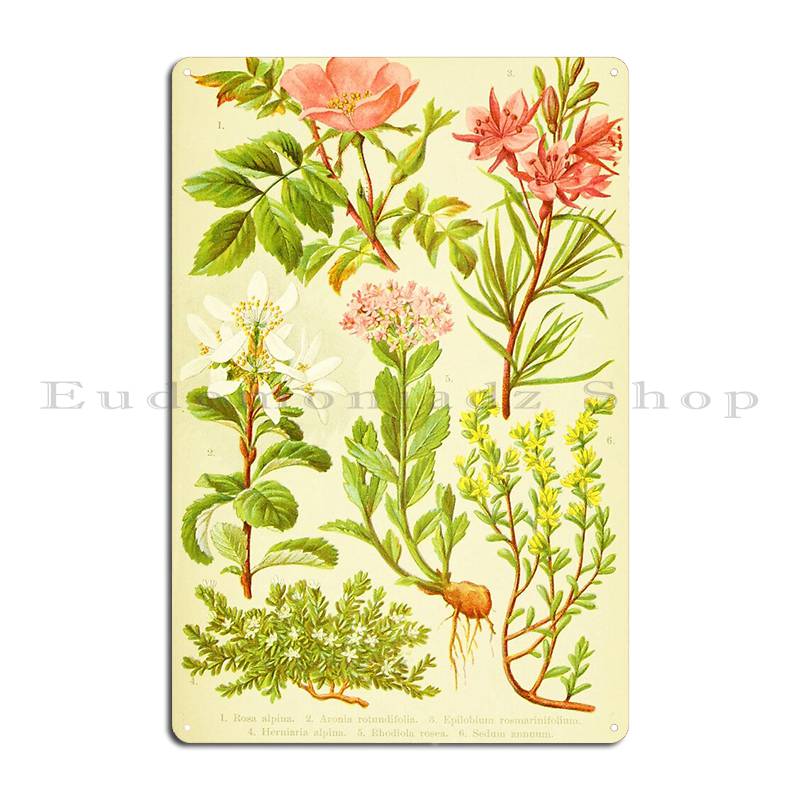 Hd vintage buquê de flores des - Home Cinema Wall Design avaliação e preço