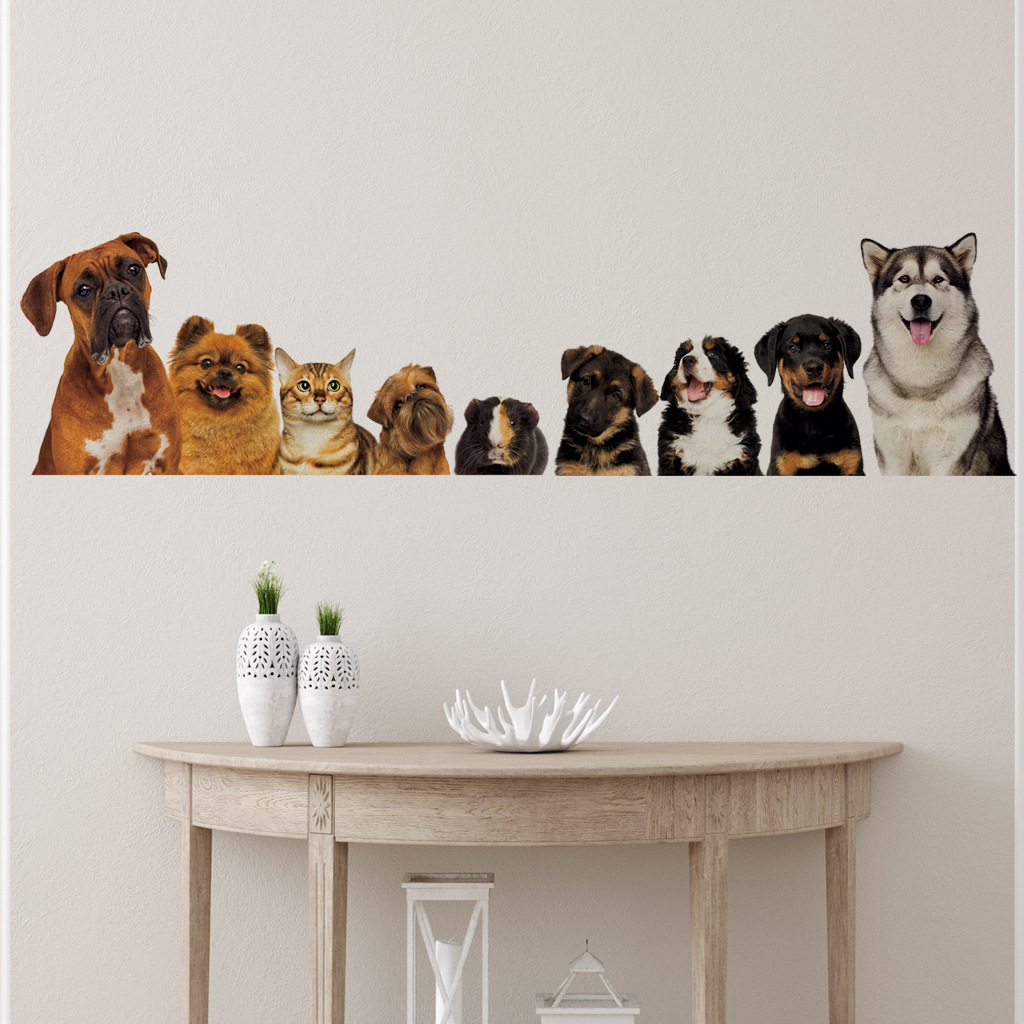 C30 #   9 gatos fofos e cães a - Home Cinema Wallpaper avaliação e preço